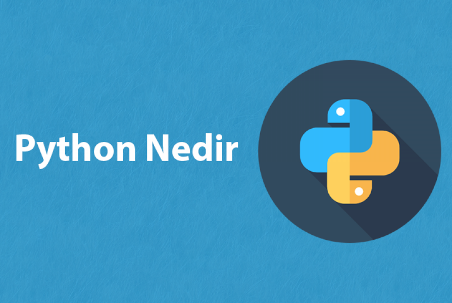 Python Nedir